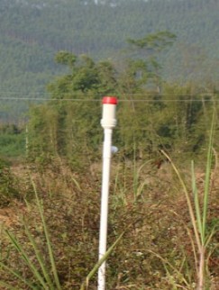plant2